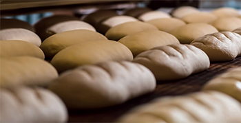 Food Industry